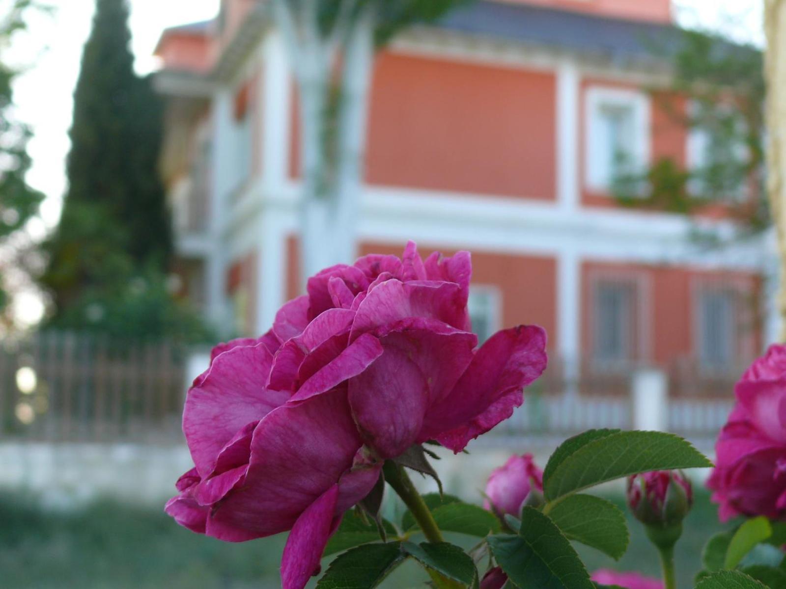 Вілла La Casa Grande De Gormaz Quintanas de Gormaz Екстер'єр фото