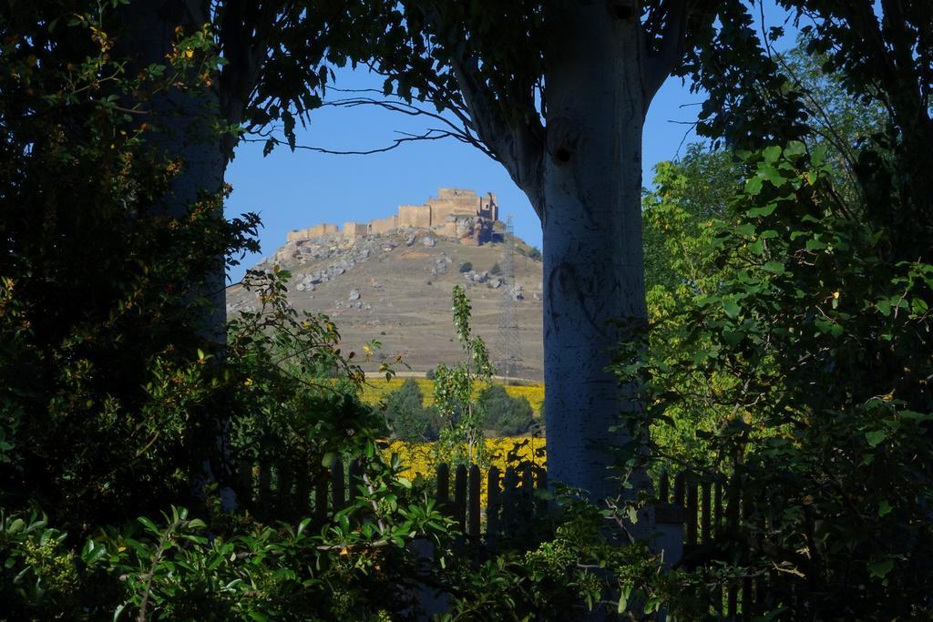 Вілла La Casa Grande De Gormaz Quintanas de Gormaz Екстер'єр фото